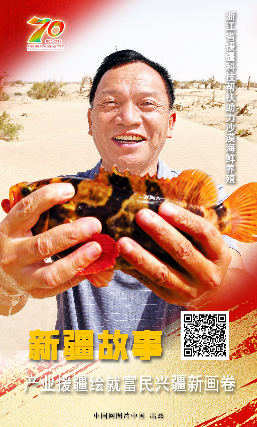 开云电竞:新疆故事产业援疆绘就富民兴疆新画卷【海报】(图9)