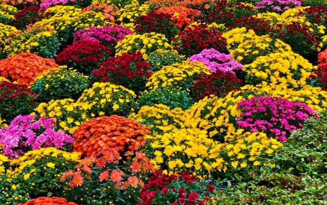 开云电竞“花花世界”~沈阳咔咔出片！(图3)