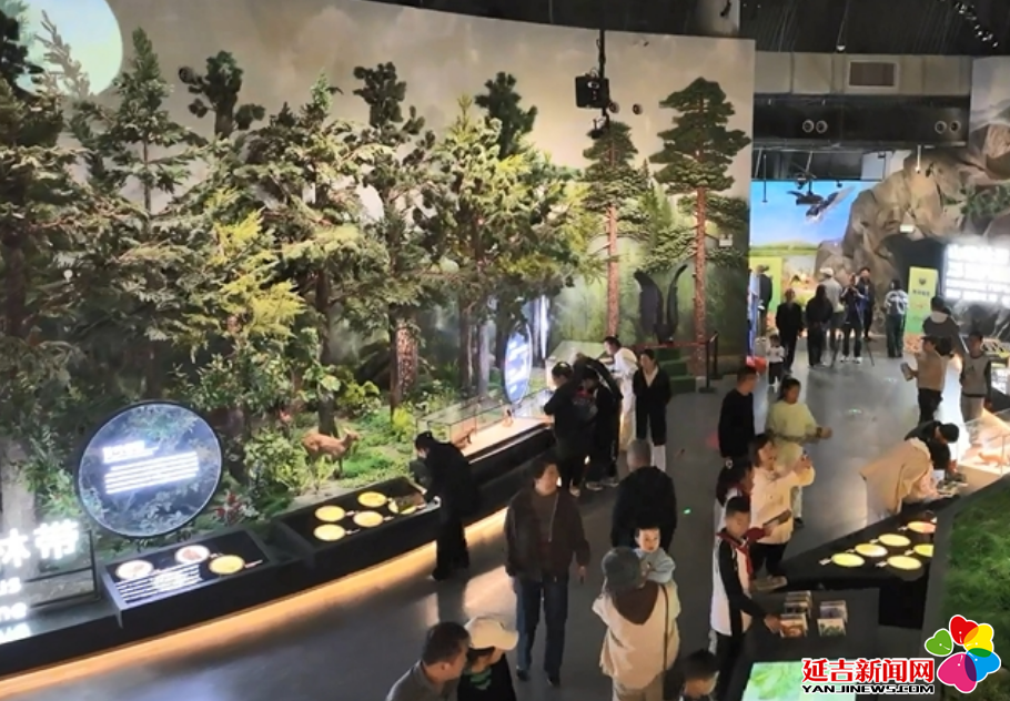 开云电竞app:赴一场山水之约结一树石榴之果——延边州“来多彩延边+”系列活动综述(图9)