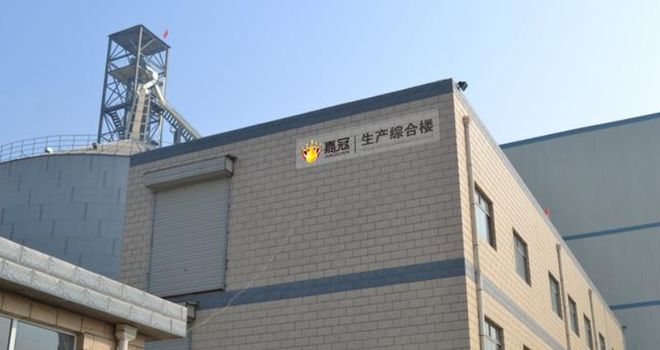 因违反农业转基因生物标识开云电竞济宁这家粮油企业被罚(图3)