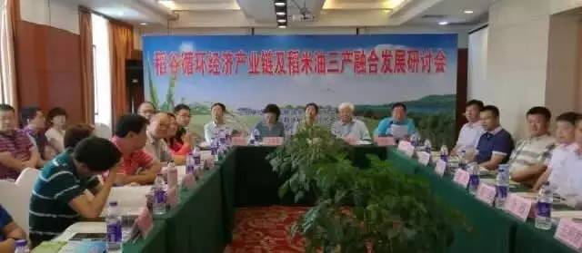 稻米油要火！正开云电竞与金龙鱼同场竞技的品牌你粉谁？(图2)