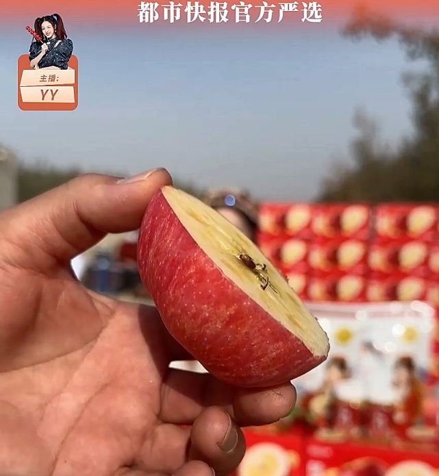 开云电竞新疆阿克苏人人都知道：红旗坡的冰糖心才是顶顶好吃！(图3)