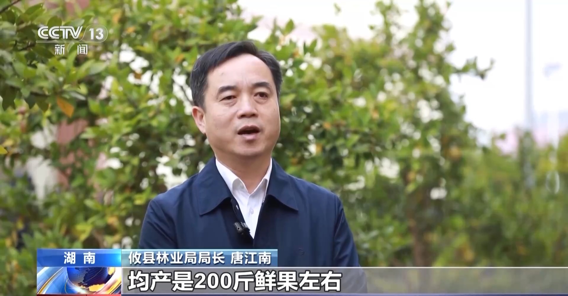 浑身是宝！一颗油茶果如何“榨”出近千亿绿色产值？(图5)