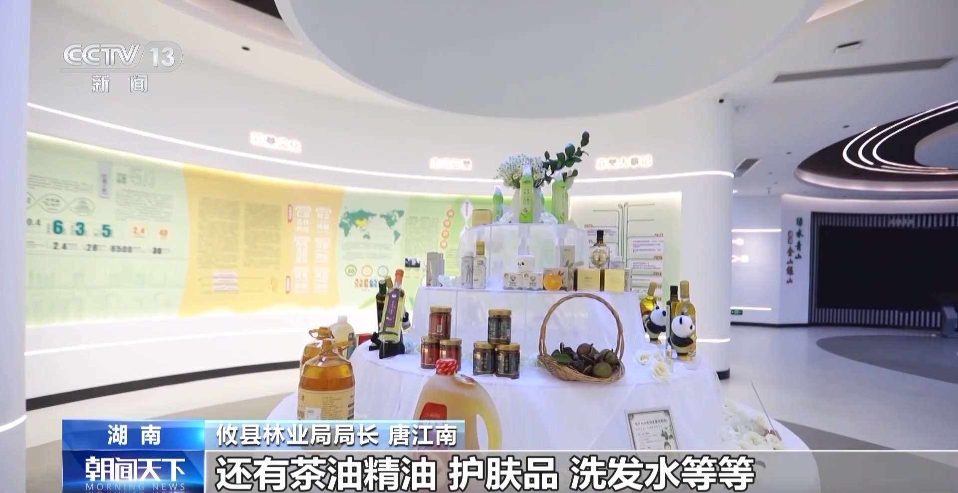 浑身是宝！一颗油茶果如何“榨”出近千亿绿色产值？(图10)
