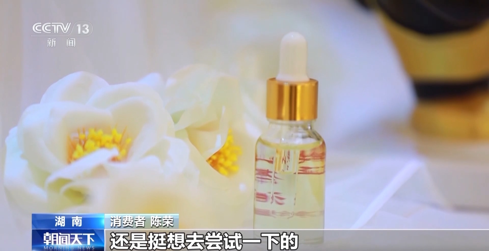 浑身是宝！一颗油茶果如何“榨”出近千亿绿色产值？(图9)