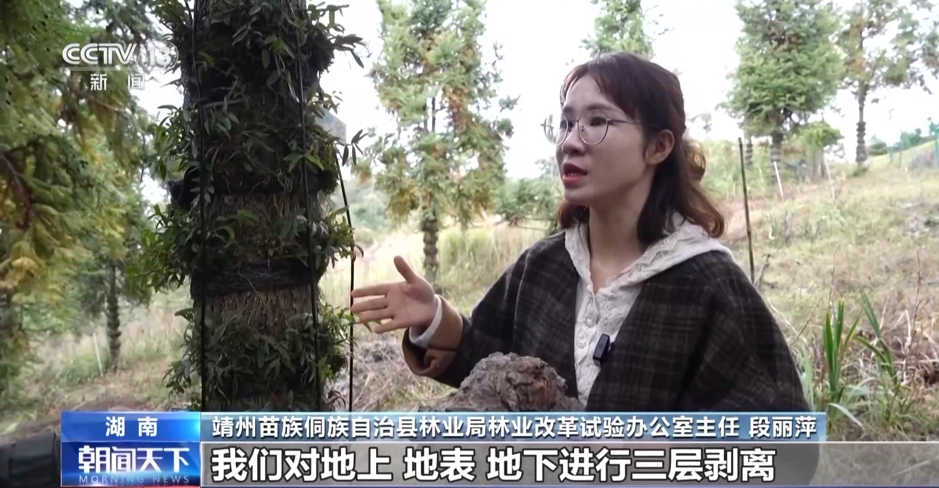 浑身是宝！一颗油茶果如何“榨”出近千亿绿色产值？(图15)