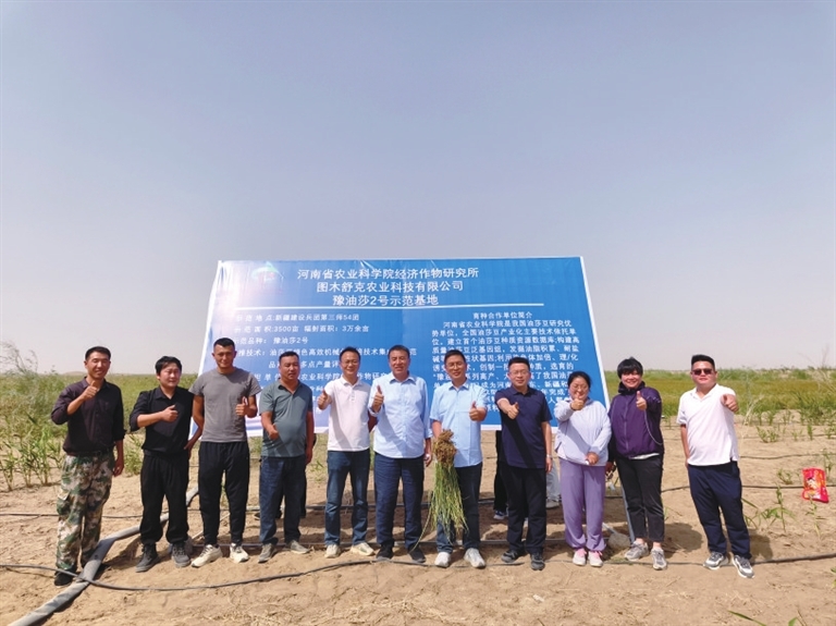 开云电竞入口:河南如何点“豆”成金科技支撑油莎豆产业高质量发展(图3)