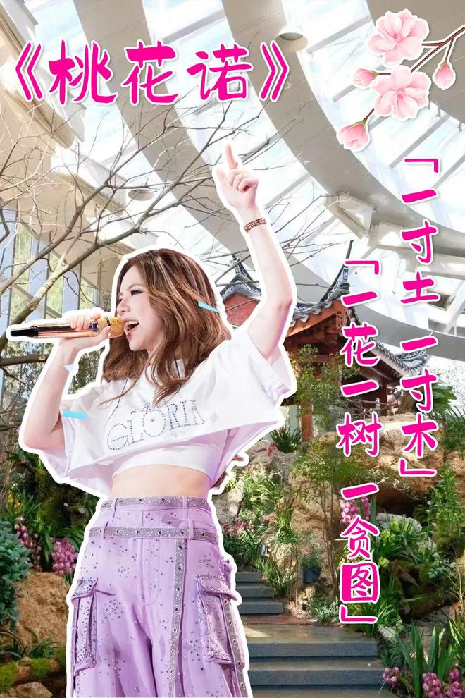在邓紫棋的歌声里解锁山海福建(图9)