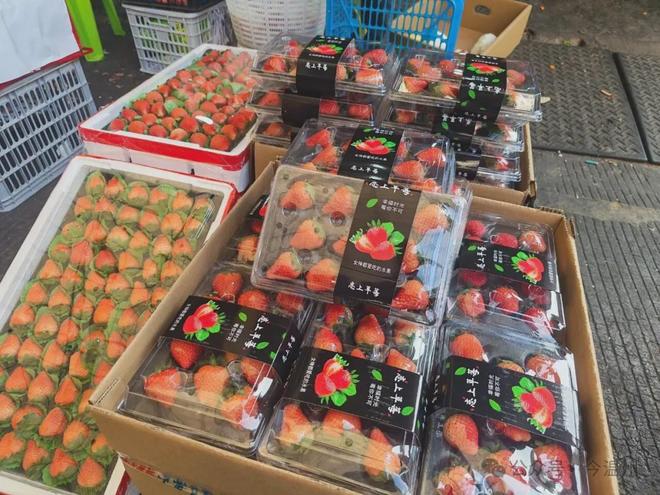 开云电竞:温州已经上市！今年价格…(图2)