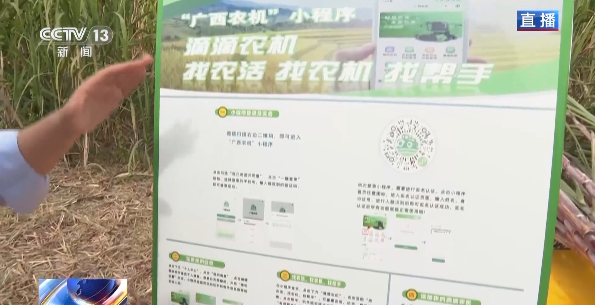 开云电竞从“榨糖”到“超级电容”揭秘广西甘蔗的甜蜜产业链(图2)