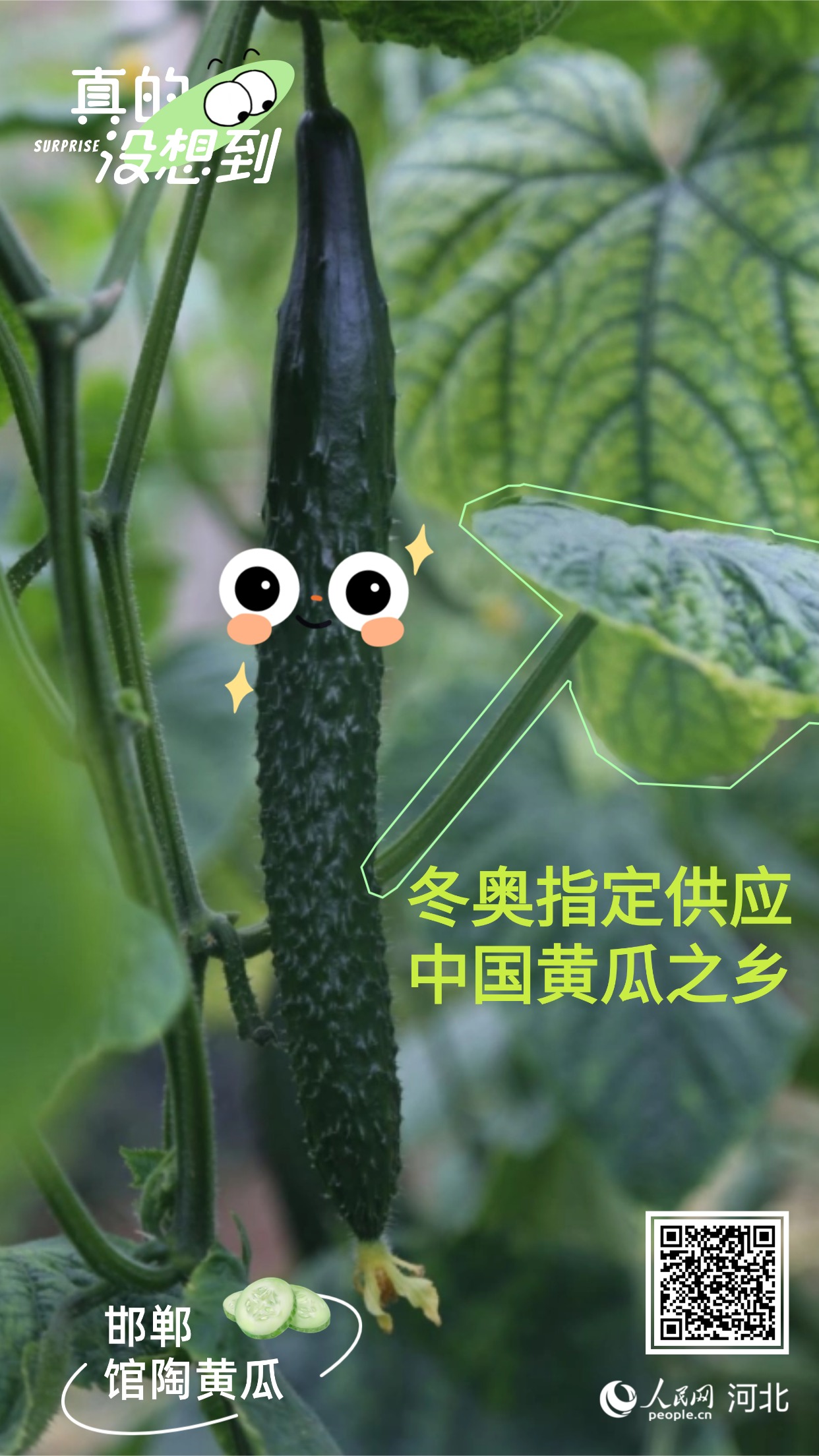 开云电竞真的没想到|邯郸这些农业“宝藏”享誉全国(图4)