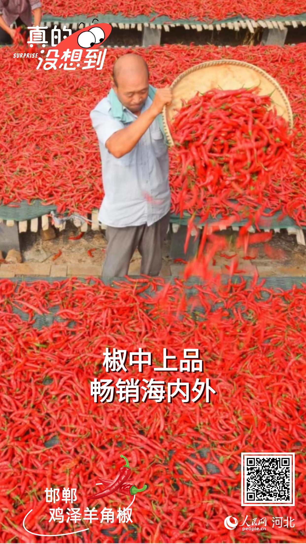 开云电竞真的没想到|邯郸这些农业“宝藏”享誉全国(图5)