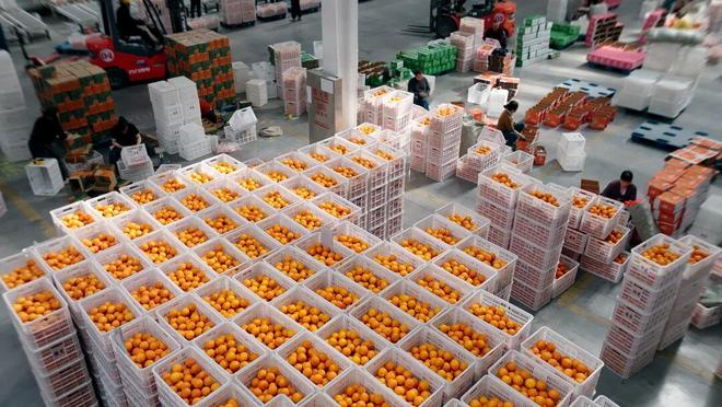 开云电竞入口:40天卖出657万杯书亦的“新型烧仙草”成型了！(图2)