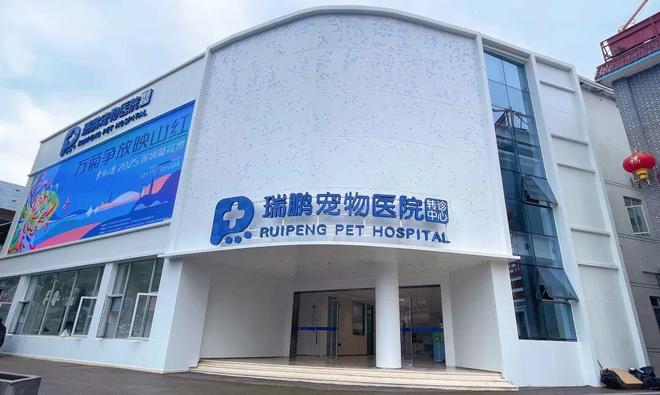 免费免预约！2025东湖公园菊花赏火爆进行中太美了(图6)