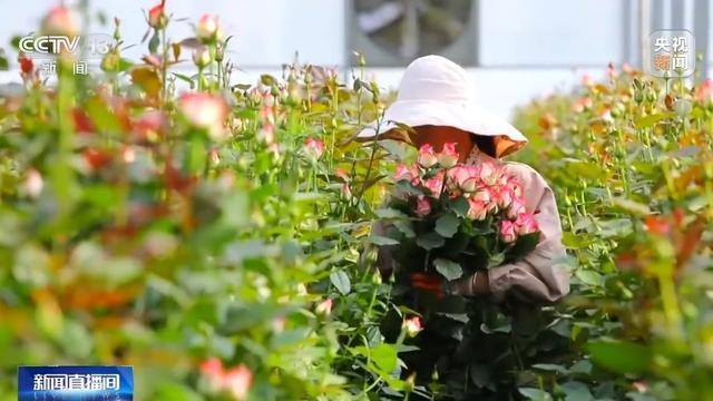 开云电竞网站:蔬菜、水果、肉蛋奶 各地节日市场供应货足价稳(图7)