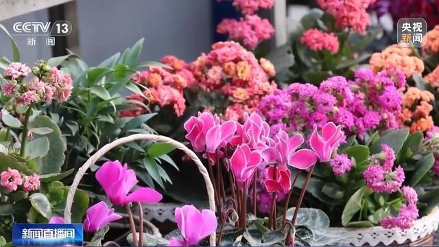 开云电竞网站:蔬菜、水果、肉蛋奶 各地节日市场供应货足价稳(图5)