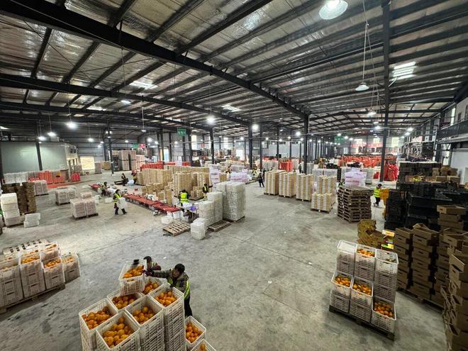 开云电竞app:四川柑橘类出口第一！“简州晚橘”加速冲向全球