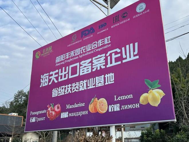 开云电竞app:四川柑橘类出口第一！“简州晚橘”加速冲向全球(图2)