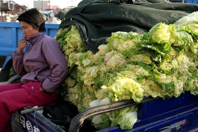 开云电竞app:让14亿人“蔬菜自由”“菜篮子工程”在全世界都是独一无二的(图8)