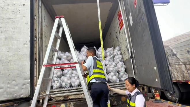 开云电竞app:让14亿人“蔬菜自由”“菜篮子工程”在全世界都是独一无二的(图9)