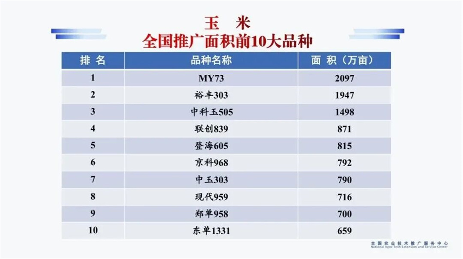 kaiyun开云电竞:2025年中国