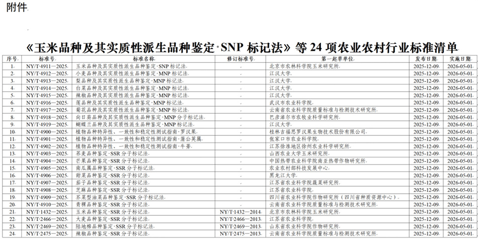 kaiyun开云电竞:2025年中国(图3)
