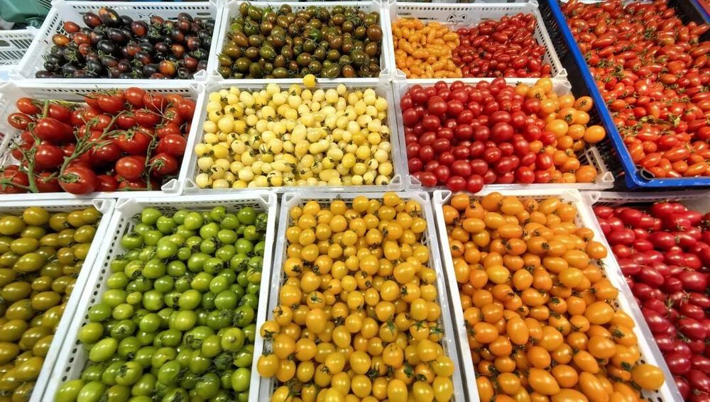 减肥好搭子!这个水果低卡高纤还美味多吃不怕胖(图5)