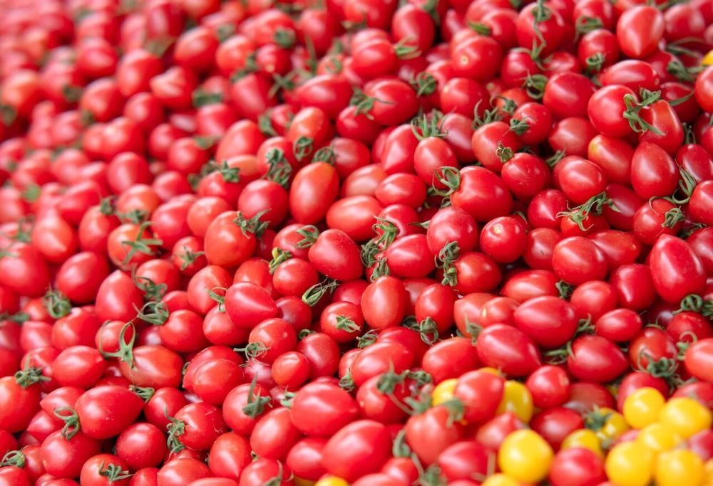 减肥好搭子！这个水果低卡高纤还美味多吃不怕胖