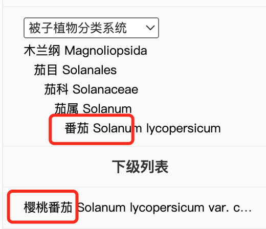 减肥好搭子!这个水果低卡高纤还美味多吃不怕胖(图3)