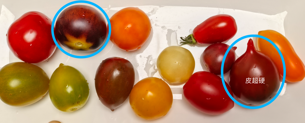 减肥好搭子!这个水果低卡高纤还美味多吃不怕胖(图8)