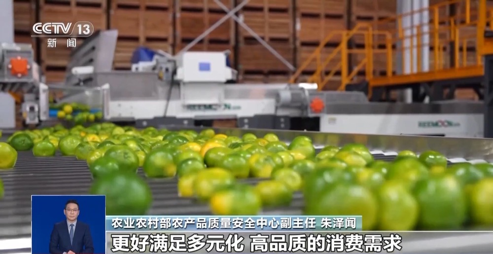 开云电竞入口:推动水果分级四种首批试点水果是怎么选出来的？