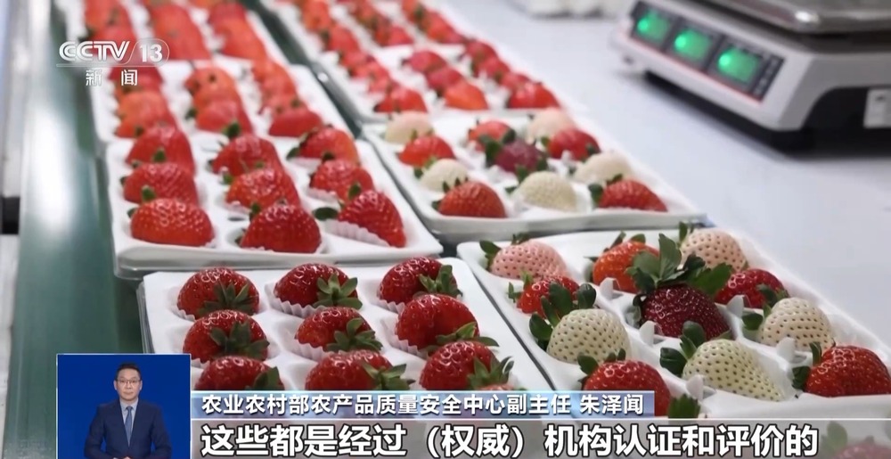 开云电竞入口:推动水果分级四种首批试点水果是怎么选出来的?(图6)