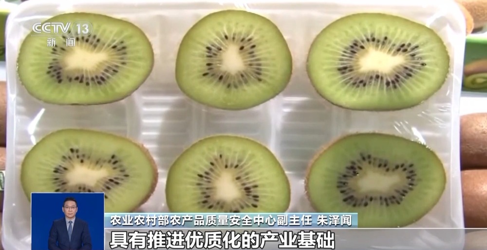 开云电竞入口:推动水果分级四种首批试点水果是怎么选出来的?(图3)