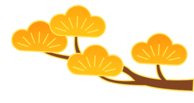 三亚春节成绩单:33129万人次!8957亿元!(图11)