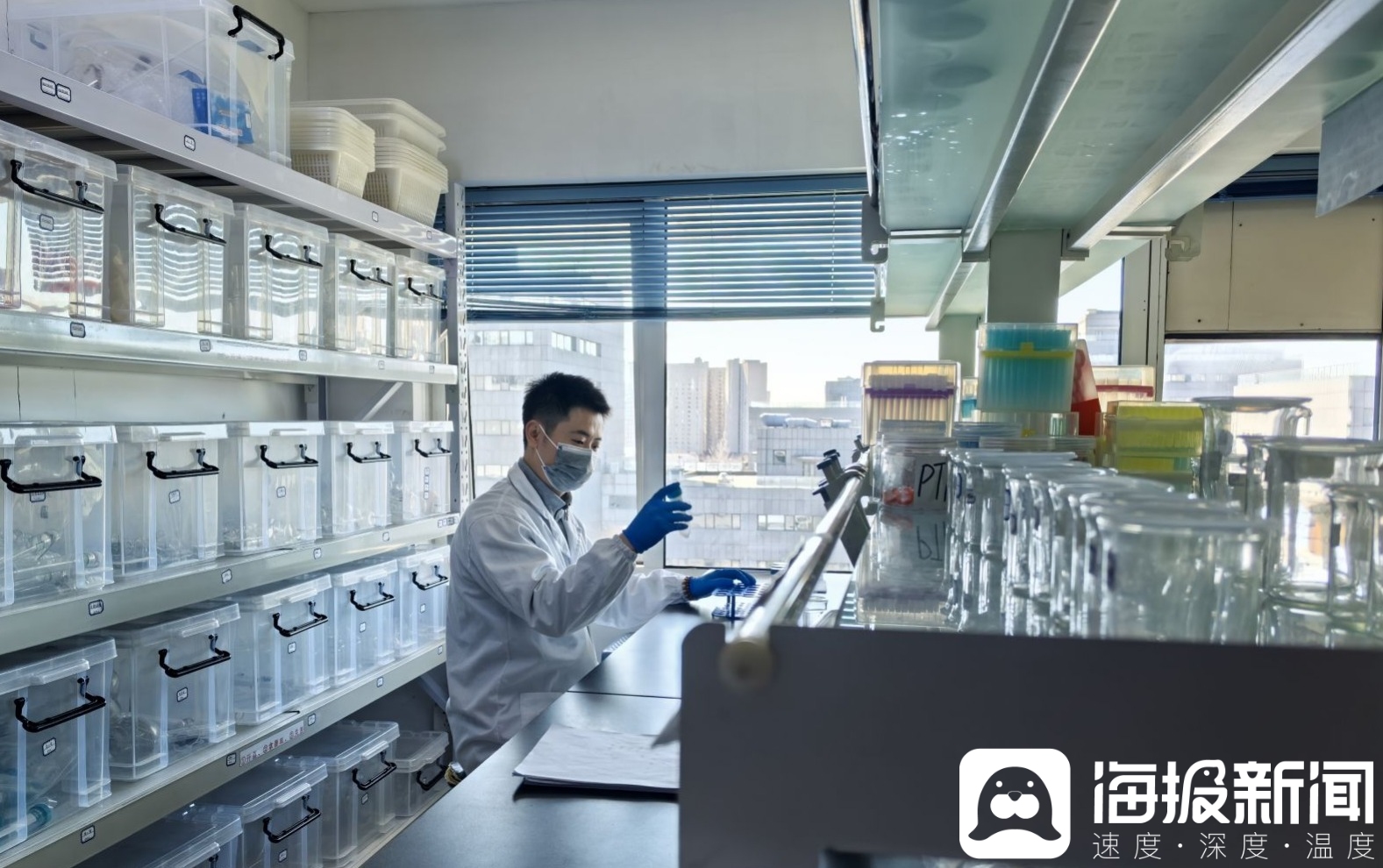 开云电竞:独立调查丨“3·15”探秘王海实验室①:果冻、话梅、保健茶……那些你熟悉的网红食品里可能暗藏着泻药与“伟哥”(图3)