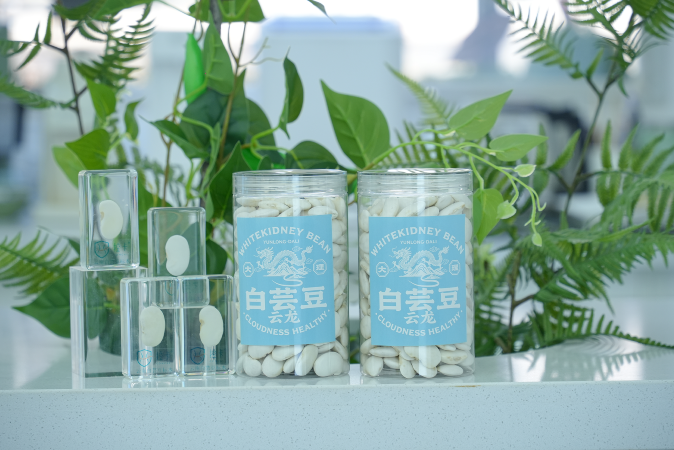 开云电竞:云龙白芸豆：高原沃土孕育的营养珍豆(图3)