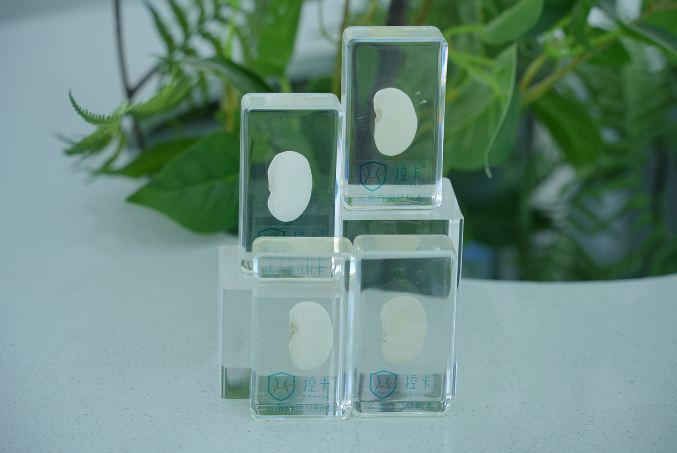 开云电竞:云龙白芸豆：高原沃土孕育的营养珍豆(图5)