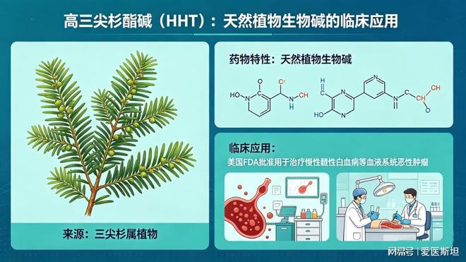 开云电竞入口:Nature子刊：这种天然植物碱可清除衰老细胞改善代谢并延长寿命(图3)