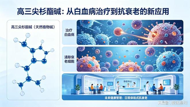 开云电竞入口:Nature子刊：这种天然植物碱可清除衰老细胞改善代谢并延长寿命(图4)