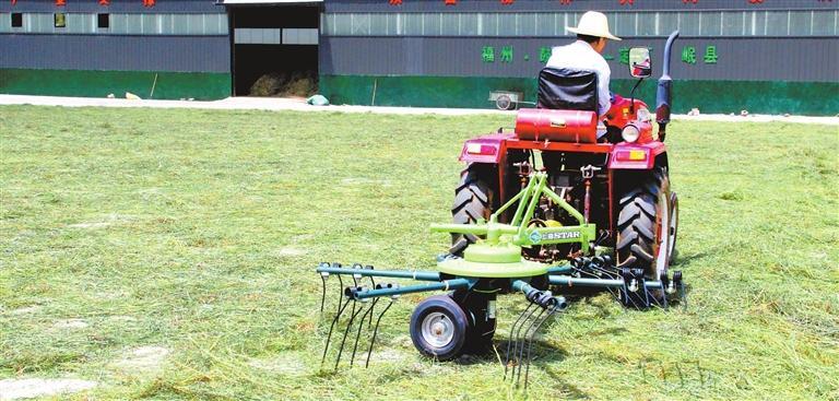 小小猫尾草长成大产业-新华网(图4)